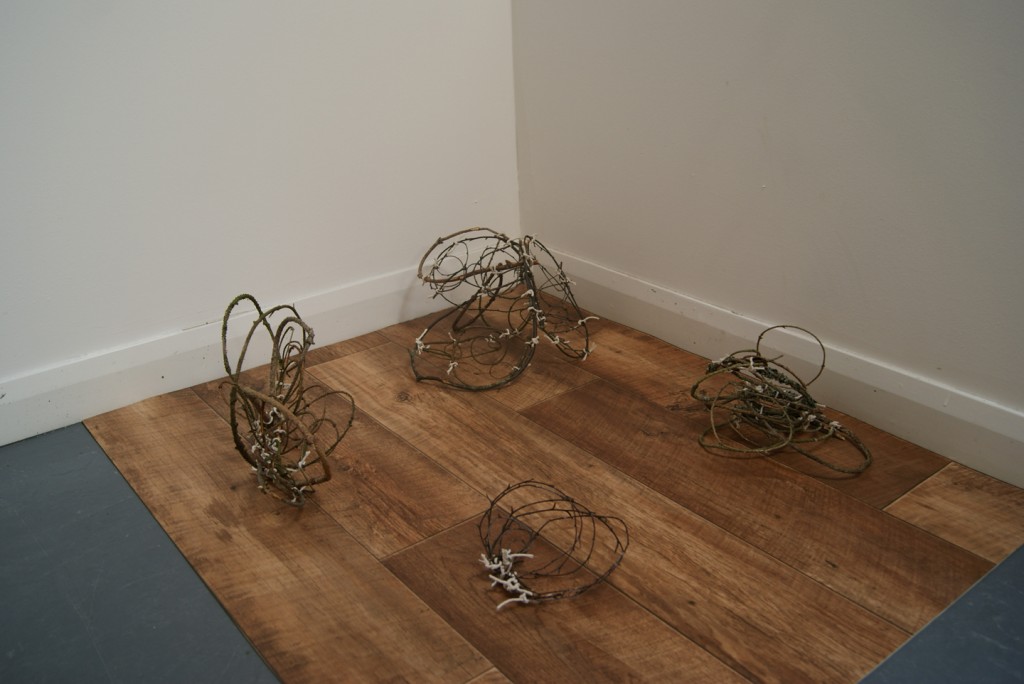 Wood on Wood, Installation View, found twigs, twine & vinyl flooring 